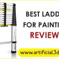 Best Ladder for Painting